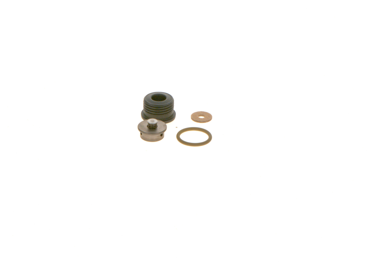 Set reparatie sistem common-rail BOSCH F00N202418