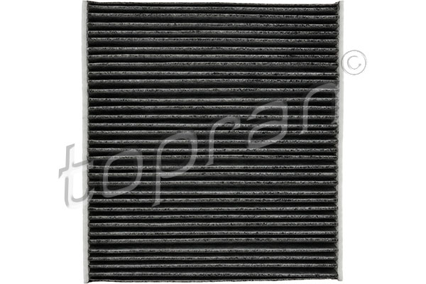 Filtru polen TOPRAN 114 418