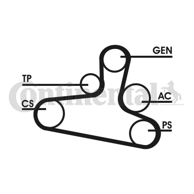 Set curea transmisie cu caneluri CONTITECH 6DPK1195D2