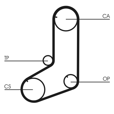 Curea de distributie CONTITECH CT911