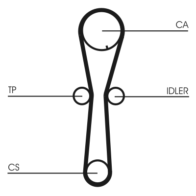 Curea de distributie CONTITECH CT954