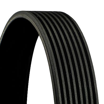 Curea transmisie cu caneluri CONTITECH 8PK1100