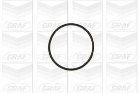 Pompa de apa GRAF PA617
