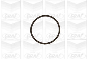 Pompa de apa GRAF PA654