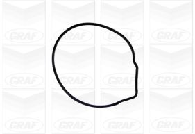 Pompa de apa GRAF PA676