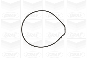 Pompa de apa GRAF PA884