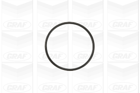 Pompa de apa GRAF PA941
