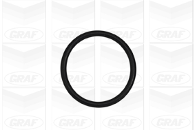 Pompa de apa GRAF PA985