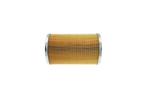 Filtru combustibil AUTOMEGA 180009110
