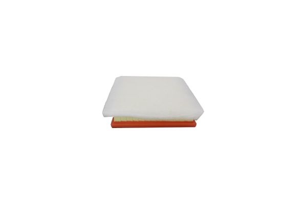 Filtru aer AUTOMEGA 180021710