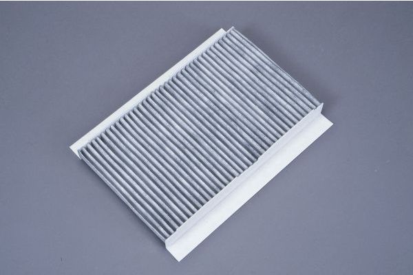 Filtru polen AUTOMEGA 180044610