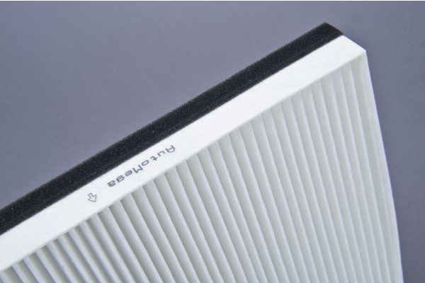 Filtru polen AUTOMEGA 180064210