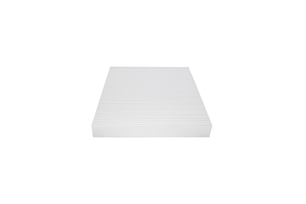 Filtru polen AUTOMEGA 210021310