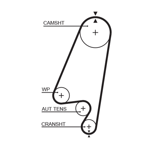 Curea de distributie GATES 5367XS