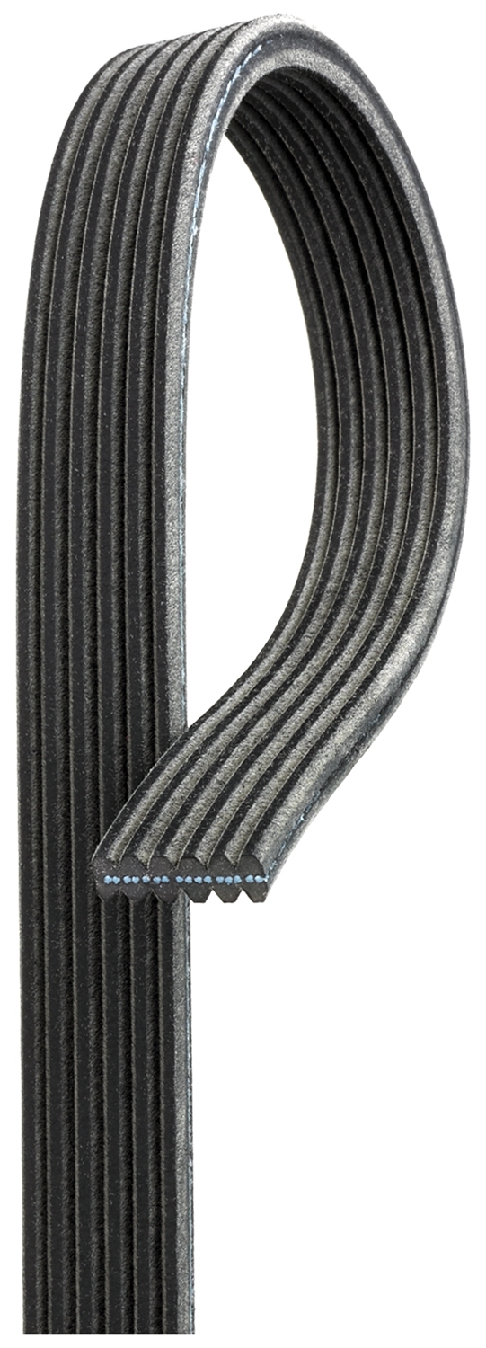 Curea transmisie cu caneluri GATES 6DPK1195