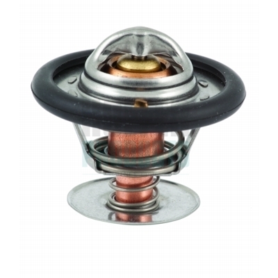 Termostat lichid racire HOFFER 8192322