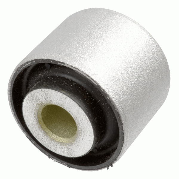 Lagar fixare ax LEMFORDER 2491301