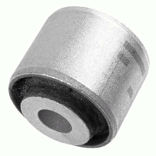 Lagar fixare ax LEMFORDER 2491401