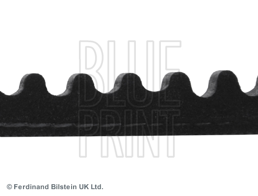 Curea transmisie BLUE PRINT AD10V950