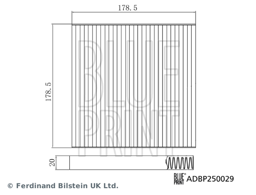 Filtru polen BLUE PRINT ADBP250029