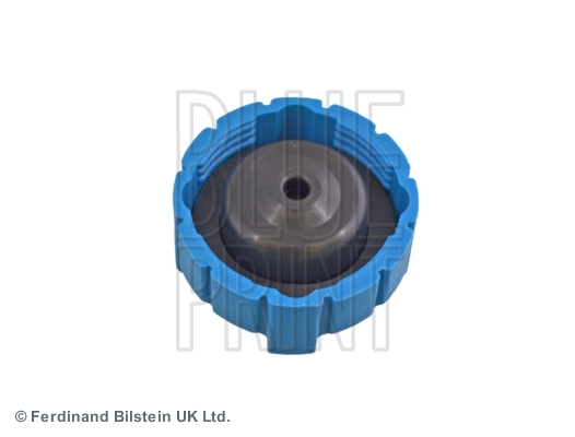 Buson vas expansiune BLUE PRINT ADC49908