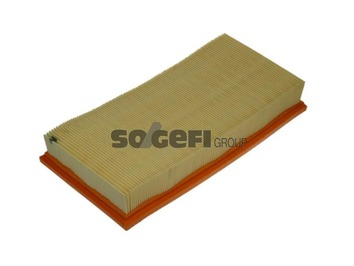 Filtru aer PURFLUX A1004