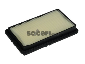 Filtru aer PURFLUX A1006