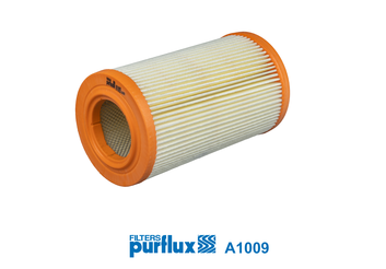Filtru aer PURFLUX A1009