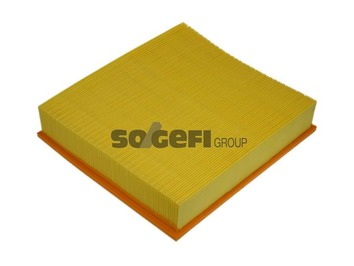 Filtru aer PURFLUX A1087