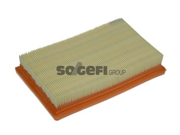Filtru aer PURFLUX A1253