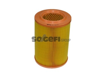 Filtru aer PURFLUX A210