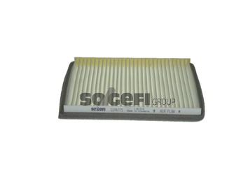 Filtru polen PURFLUX AH487