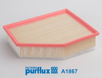 Filtru aer PURFLUX A1867