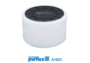 Filtru aer PURFLUX A1623