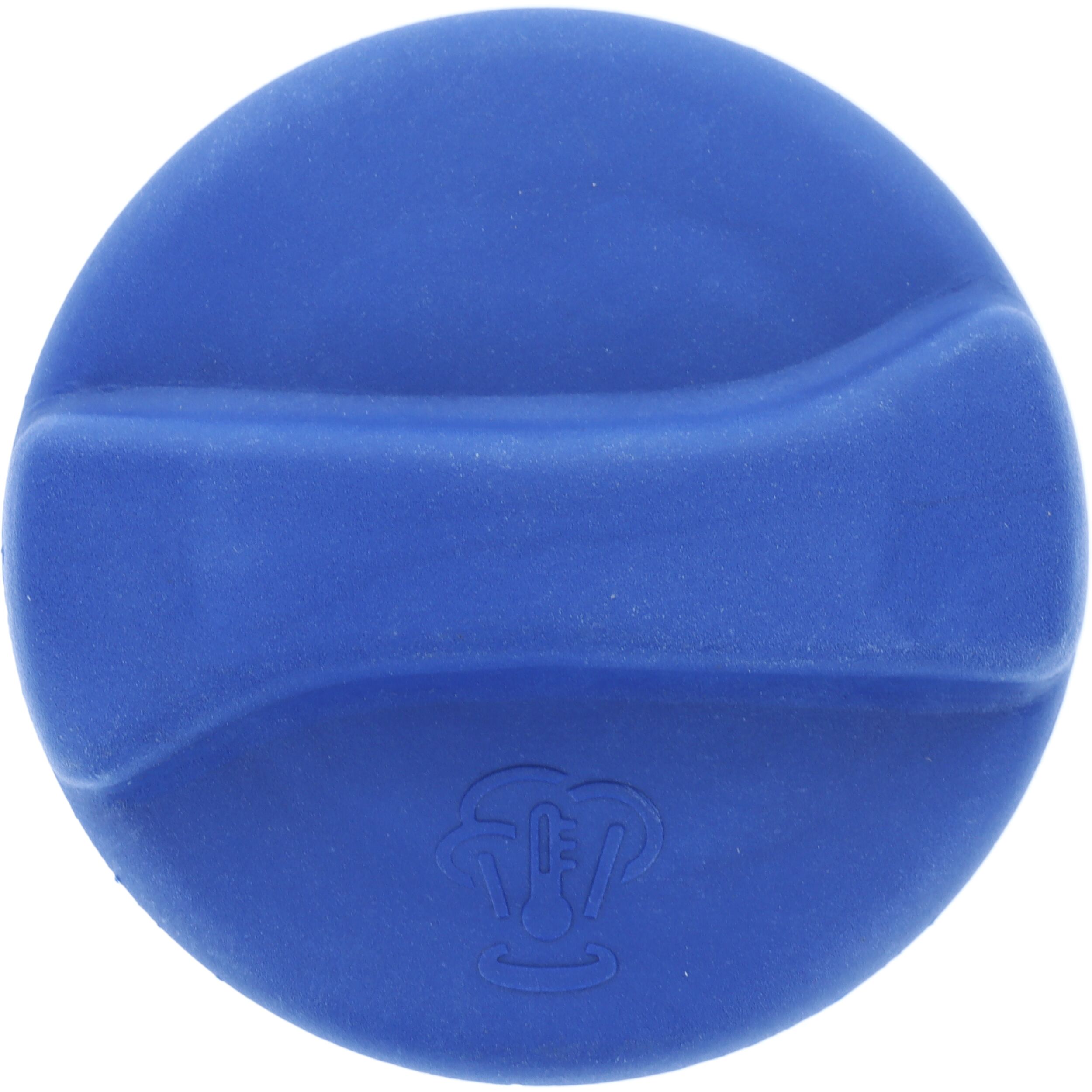 Buson vas expansiune MOTORAD T41