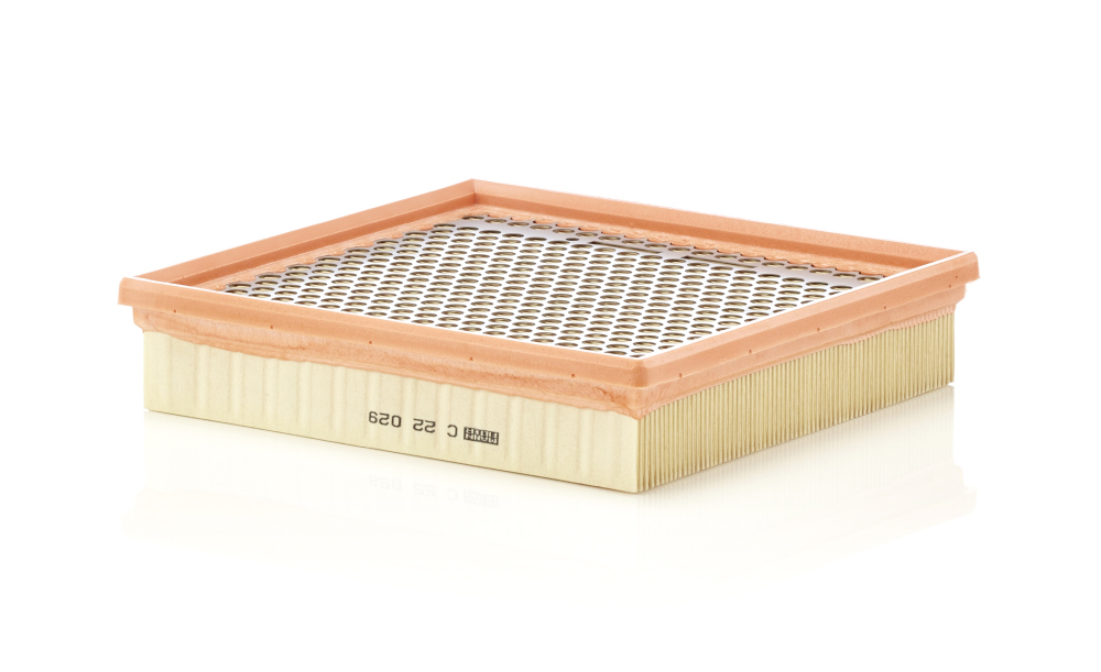 Filtru aer MANN-FILTER C 22 029