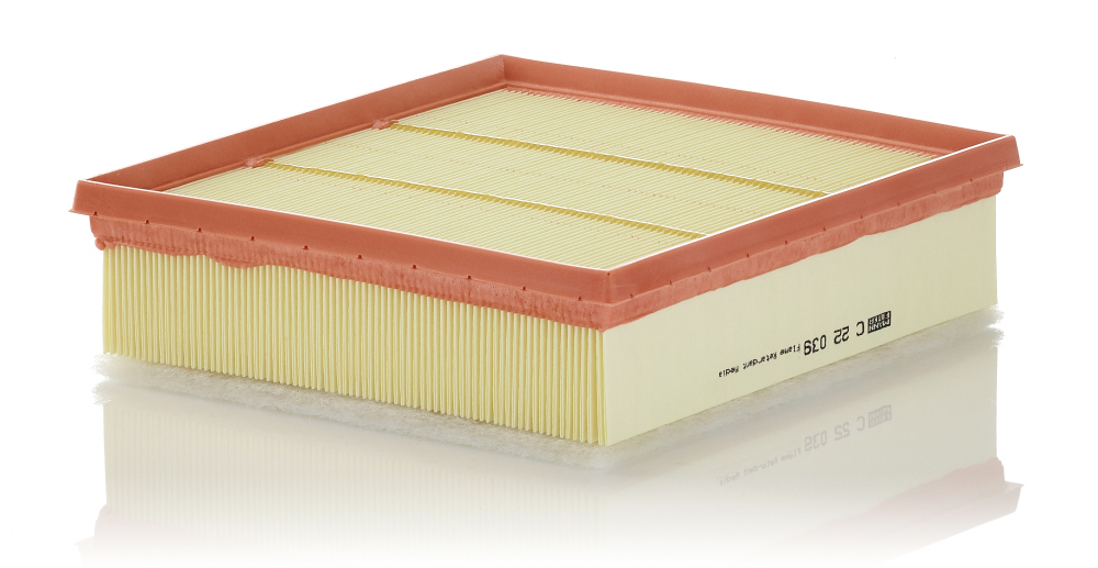 Filtru aer MANN-FILTER C22039