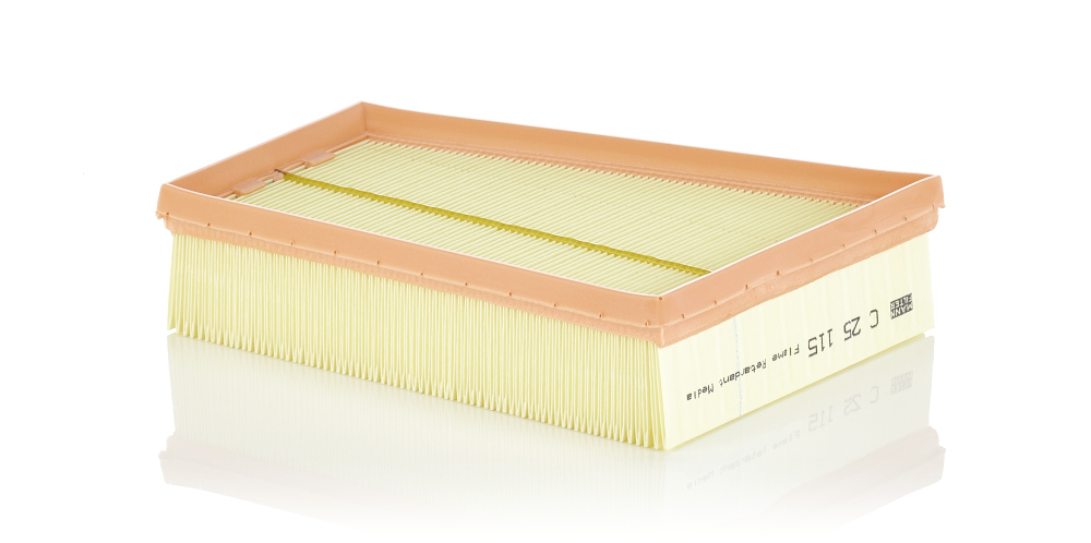 Filtru aer MANN-FILTER C25115