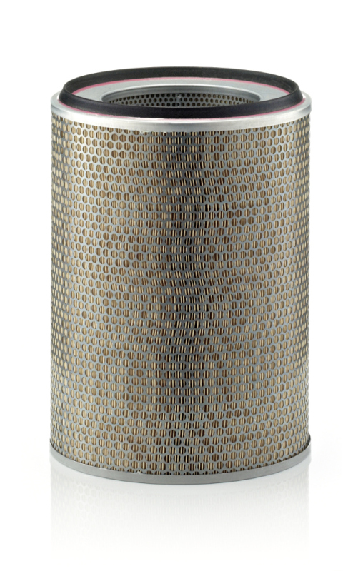 Filtru aer MANN-FILTER C291055