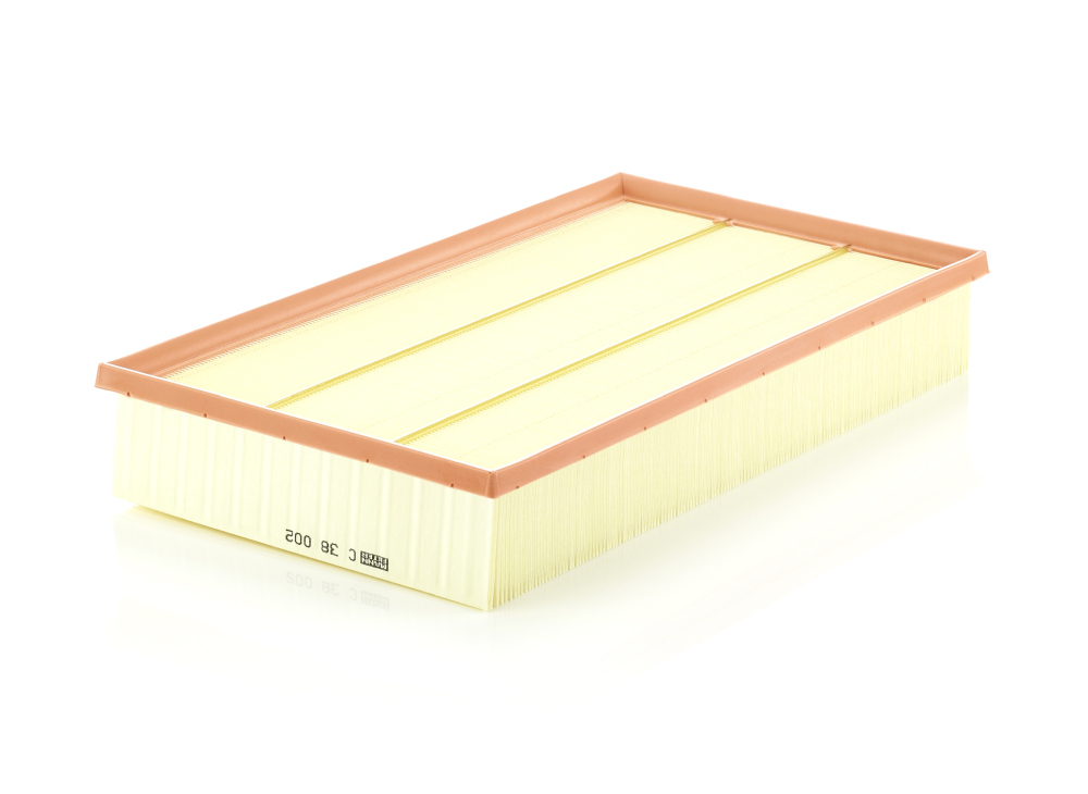 Filtru aer MANN-FILTER C38002