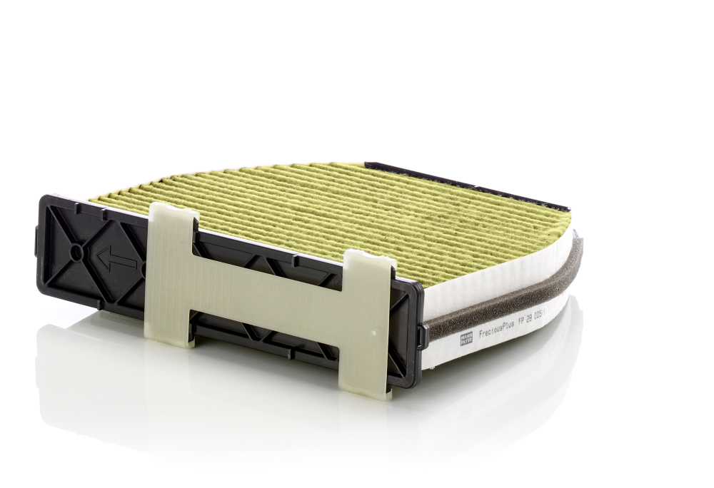Filtru polen MANN-FILTER FP 29 005/1