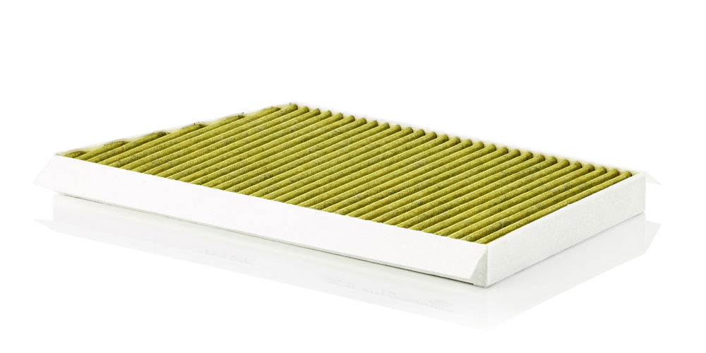 Filtru polen MANN-FILTER FP 3461/1
