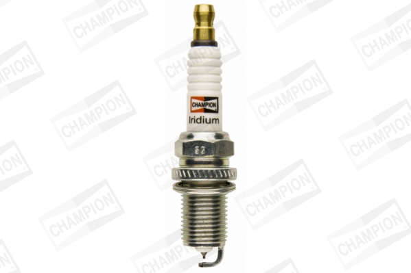 Bujie CHAMPION CCH9201