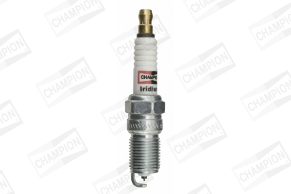 Bujie CHAMPION CCH9808