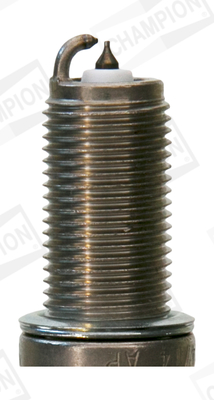 Bujie CHAMPION OE219