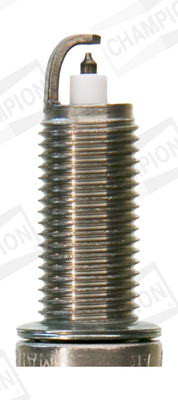 Bujie CHAMPION OE242