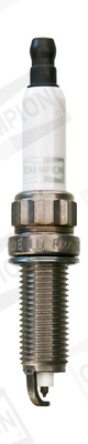 Bujie CHAMPION OE242