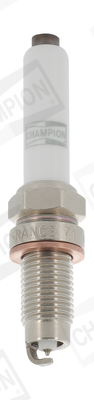 Bujie CHAMPION OE244