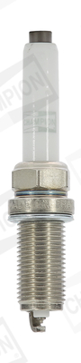 Bujie CHAMPION OE246