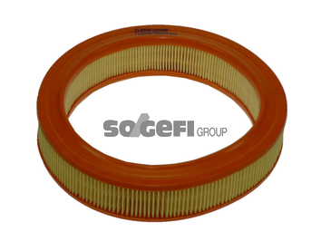 Filtru aer COOPERSFIAAM FL6676